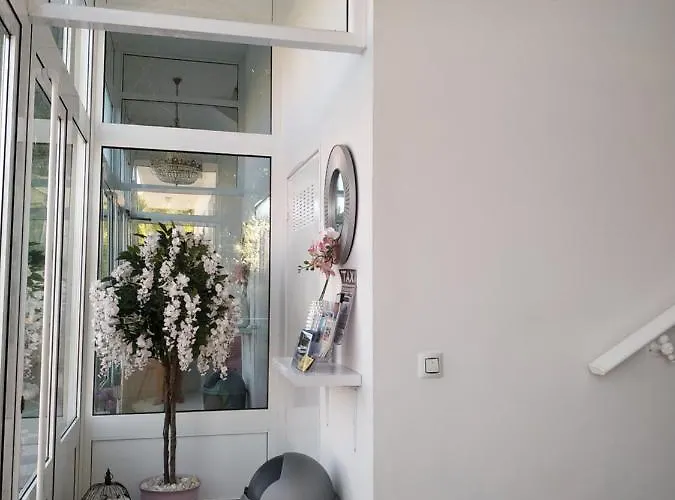 Fercomar Гостевой дом Санхенхо