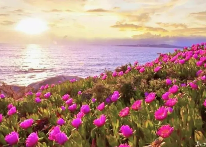 Гостевой дом Fercomar 3*